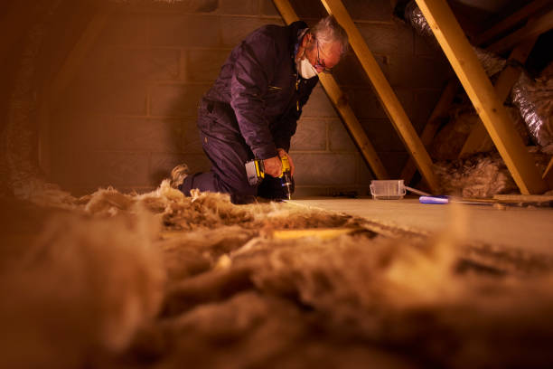 Types of Insulation We Offer in Los Angeles, CA